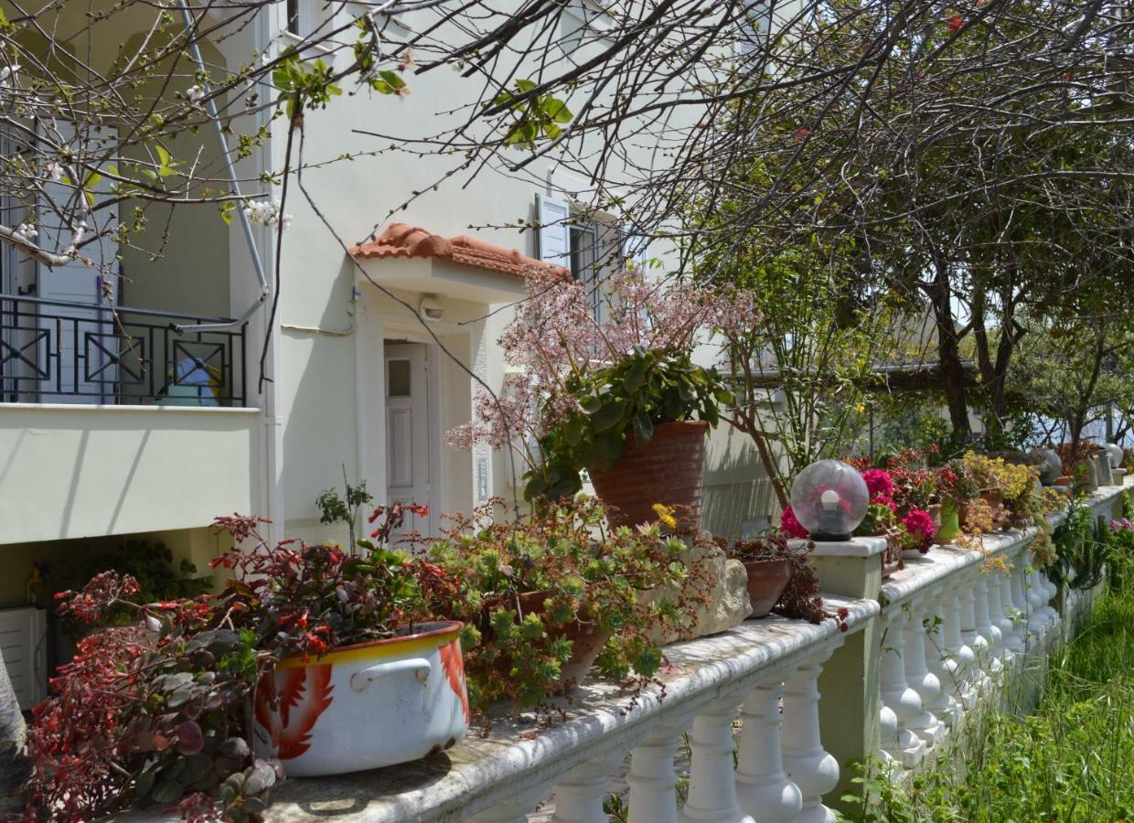 Araucaria Home 릭수리 외부 사진